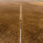 Was sind Dashas – und was sagen sie über dein Timing?